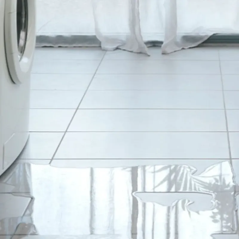 Appliance Leak Cleanup in Olathe, KS