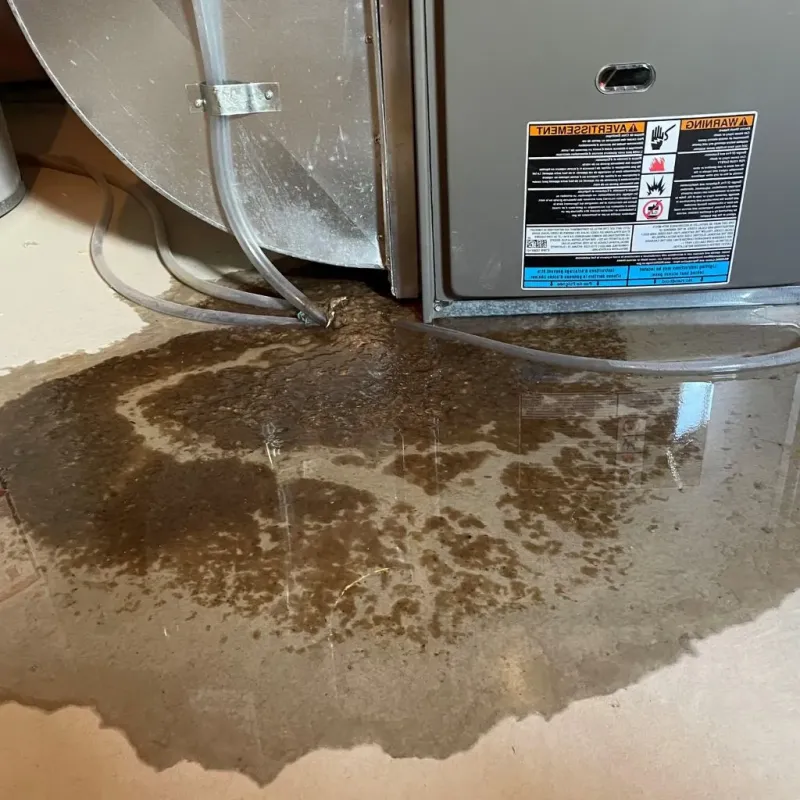 Pipe Burst and Leak Restoration in Olathe, KS