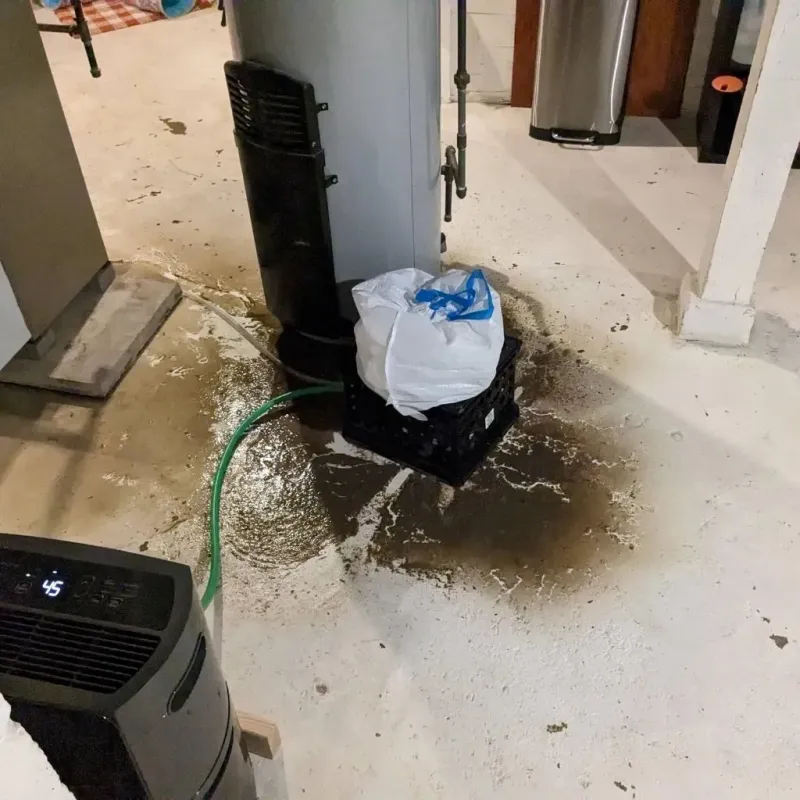 Sewage Backup Cleanup Service in Olathe, KS